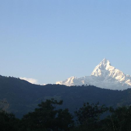 Pokhara Palace Hotel Exterior foto